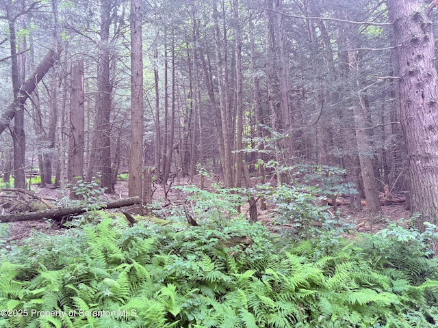 Campsite Rd, Thompson, PA 18465 - photo 8