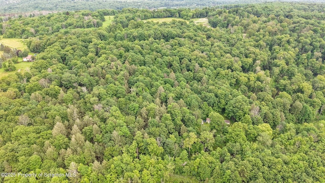 Campsite Rd, Thompson, PA 18465 - photo 5