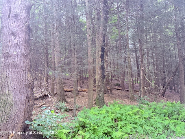 Campsite Rd, Thompson, PA 18465 - photo 6