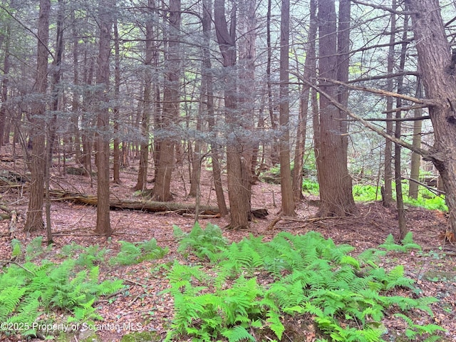 Campsite Rd, Thompson, PA 18465 - photo 1