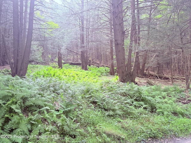 Campsite Rd, Thompson, PA 18465 - photo 7
