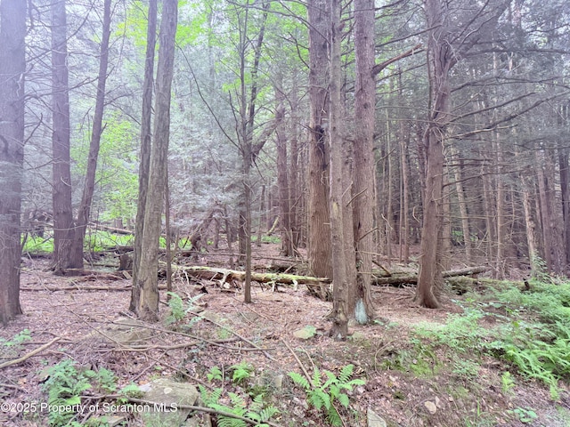 Campsite Rd, Thompson, PA 18465 - photo 2