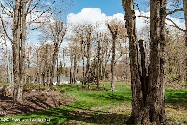 view of property's community with a lawn