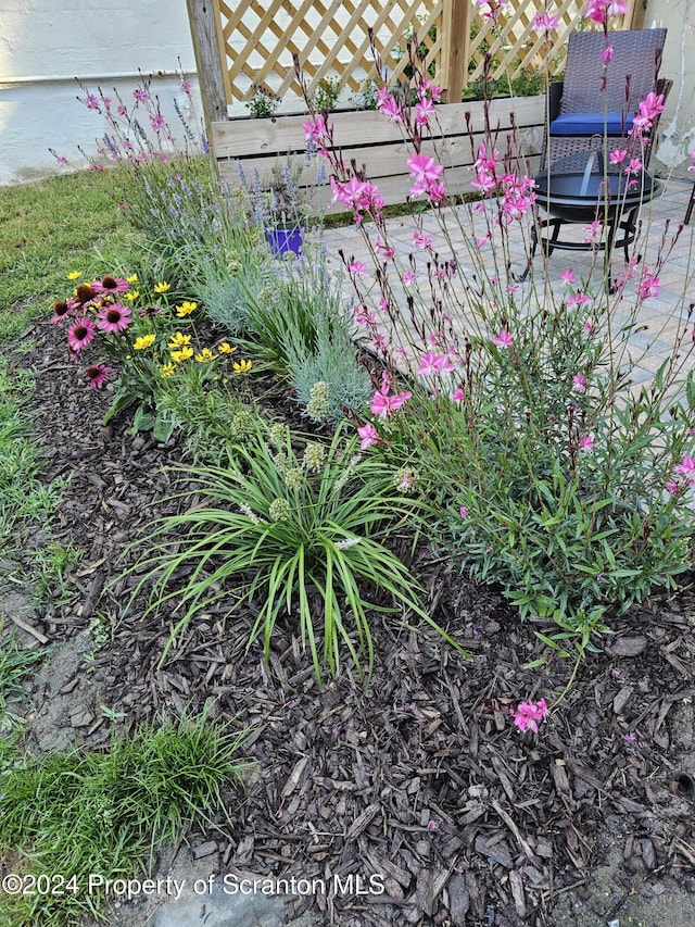 825 Prescott Ave, Scranton, PA 18510 - view of yard