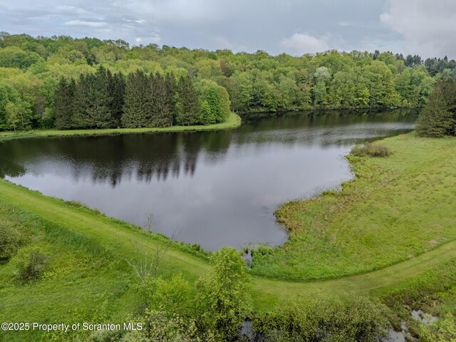 105 Grimms Rd, Honesdale, PA 18431 - photo 25