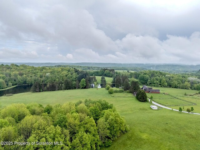 105 Grimms Rd, Honesdale, PA 18431 - photo 73