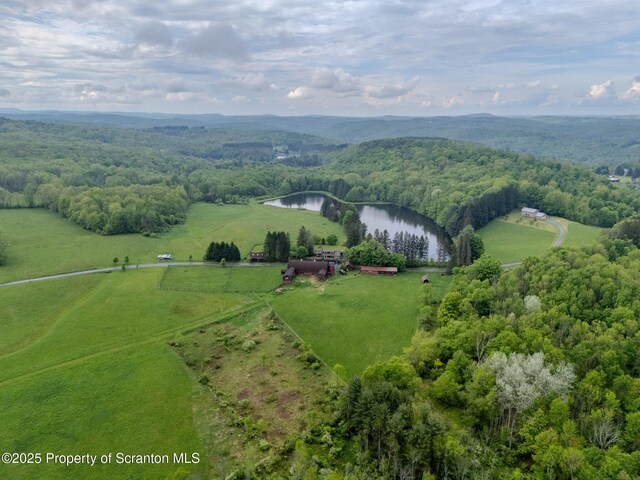 105 Grimms Rd, Honesdale, PA 18431 - photo 24