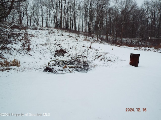 75 Hamlin Hwy, Moscow, PA 18444 - view of yard layered in snow