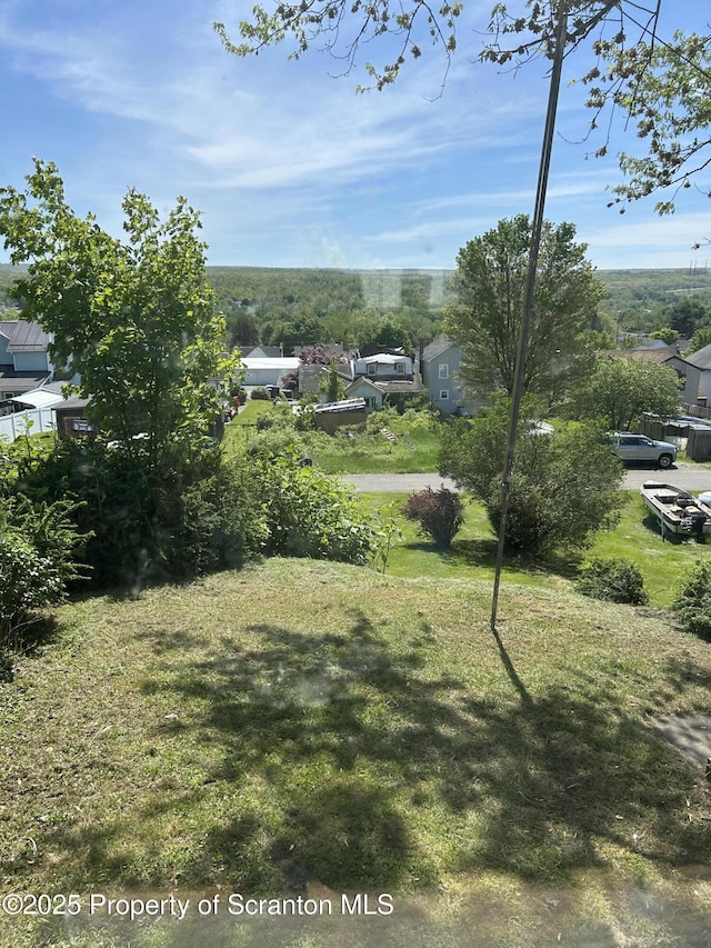 210 Gorham Ave, Mayfield, PA 18433 - view of green lawn