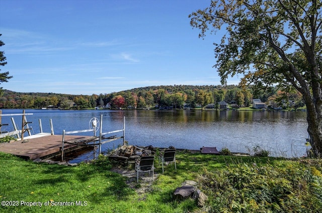 266 Warren Park Rd, New Milford, PA 18834 - dock area featuring a view of trees and a water view