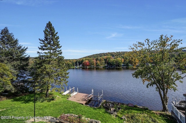 266 Warren Park Rd, New Milford, PA 18834 - dock area with a water view, a lawn, and a forest view