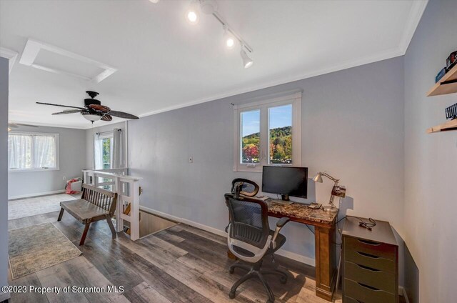 266 Warren Park Rd, New Milford, PA 18834 - office area featuring wood finished floors, a ceiling fan, baseboards, crown molding, and track lighting