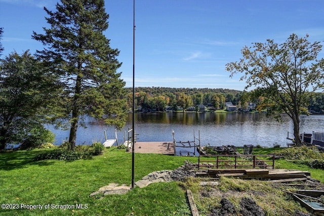 266 Warren Park Rd, New Milford, PA 18834 - water view with a boat dock