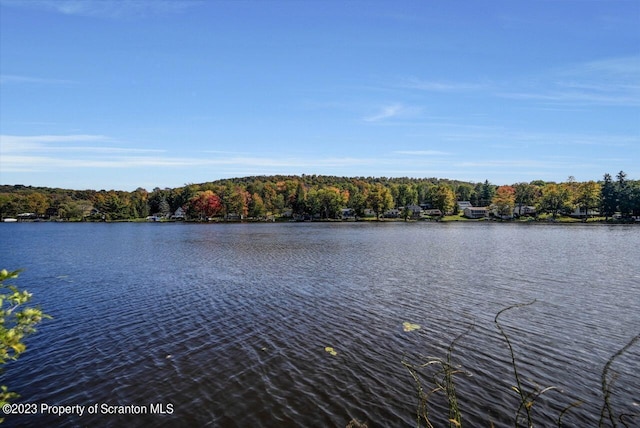 266 Warren Park Rd, New Milford, PA 18834 - water view featuring a forest