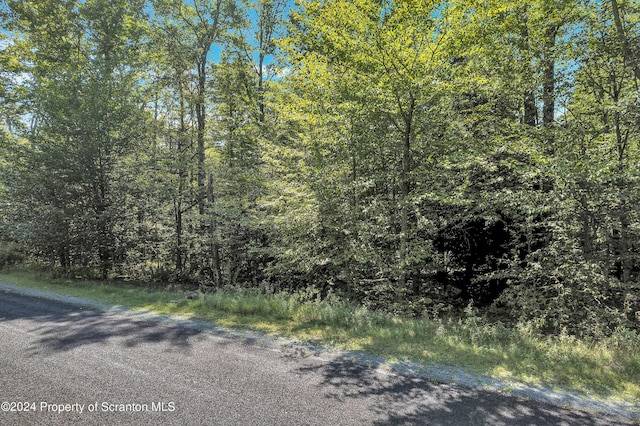 Listing photo 3 for LOT120 Hemlock Cir, Gouldsboro PA 18424