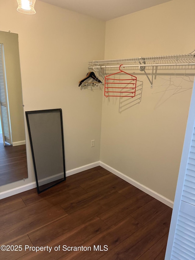 550 Clay Ave Unit 8C, Scranton, PA 18510 - walk in closet with dark wood-type flooring