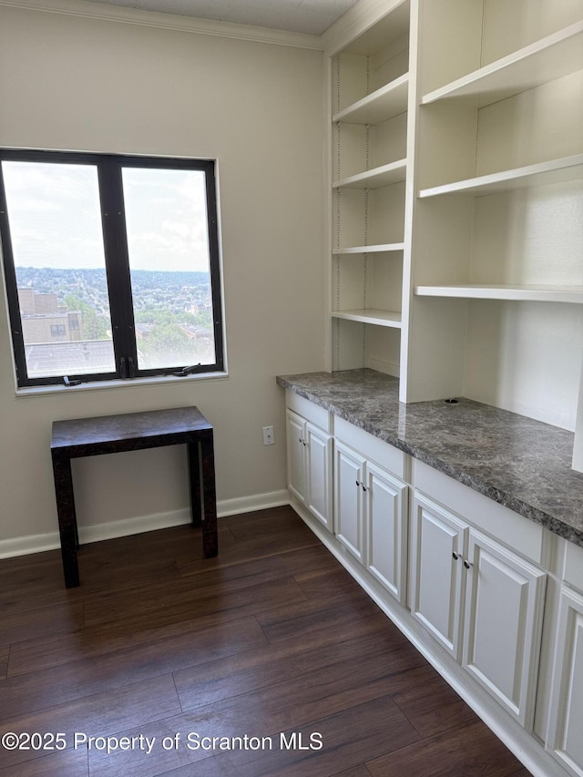 550 Clay Ave Unit 8C, Scranton, PA 18510 - unfurnished office featuring dark wood finished floors, ornamental molding, and built in features