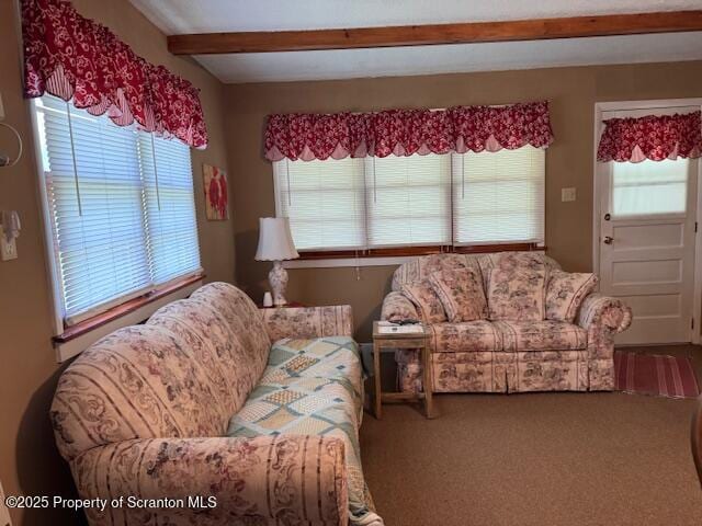 carpeted living area featuring a healthy amount of sunlight and beam ceiling