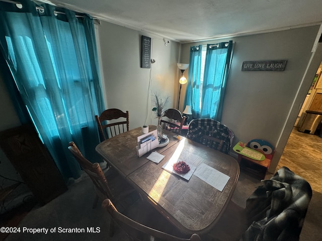 dining room featuring carpet flooring