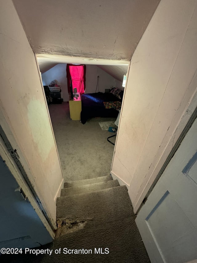 staircase with carpet flooring and vaulted ceiling