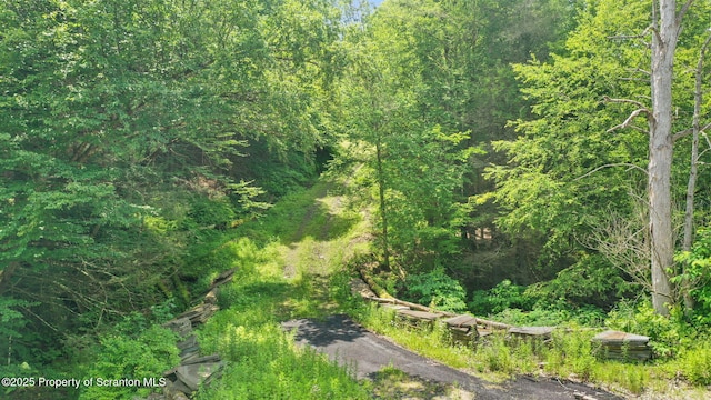 3030 Liberty Park Rd, Hallstead, PA 18822 - photo 3