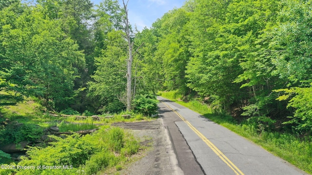 3030 Liberty Park Rd, Hallstead, PA 18822 - photo 9