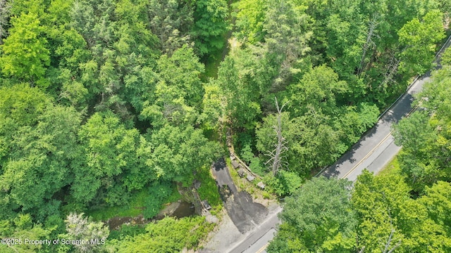 3030 Liberty Park Rd, Hallstead, PA 18822 - photo 7