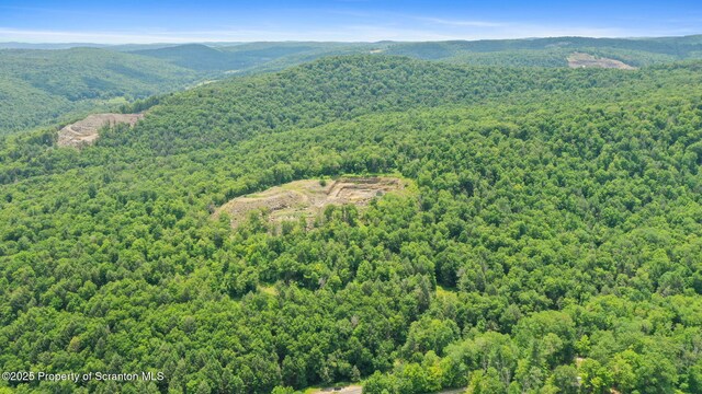 3030 Liberty Park Rd, Hallstead, PA 18822 - photo 2