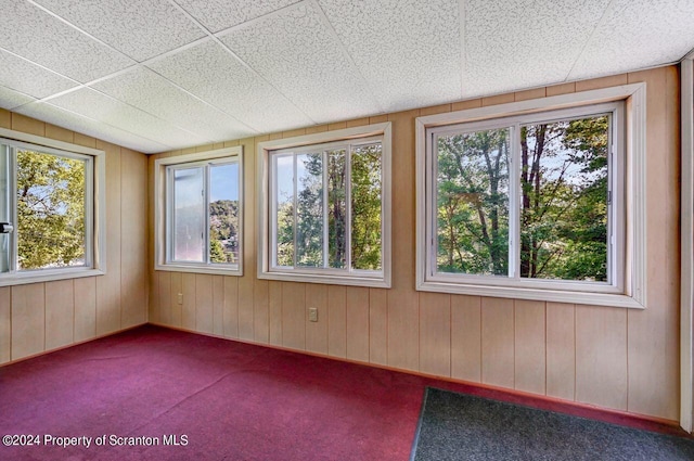 unfurnished sunroom with a wealth of natural light