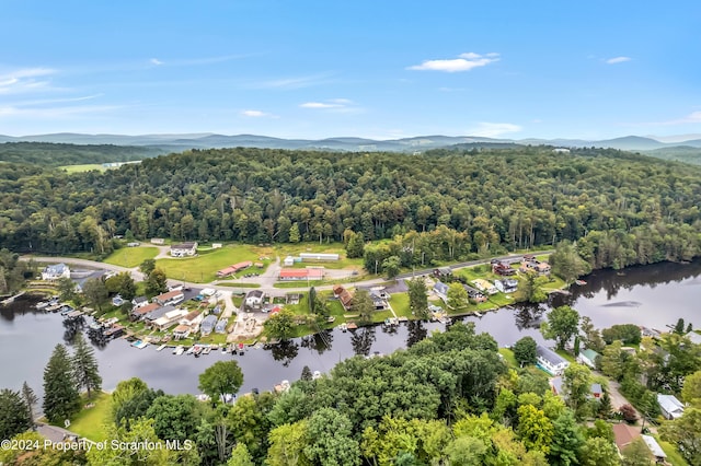 birds eye view of property featuring a water and mountain view