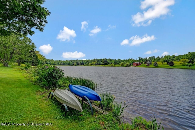 104 Dream Lake Rd, New Milford, PA 18834 - photo 41