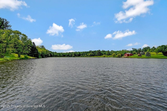 104 Dream Lake Rd, New Milford, PA 18834 - photo 40