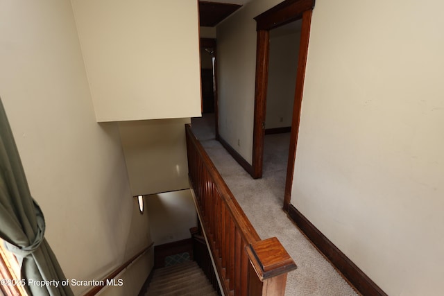 staircase featuring carpet flooring and baseboards