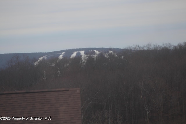 mountain view featuring a forest view