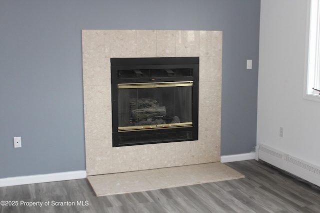 details featuring a fireplace, wood finished floors, and a baseboard radiator