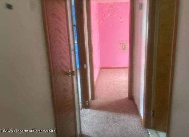 hallway with carpet flooring