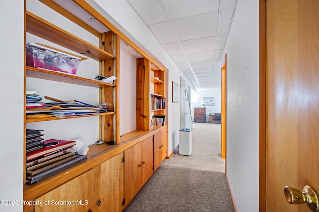 32 Christy Ln, Scott Twp, PA 18447 - corridor with light colored carpet and a paneled ceiling