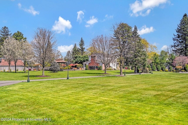 view of community with a yard