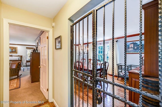 corridor with carpet flooring