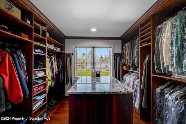 spacious closet featuring dark hardwood / wood-style flooring