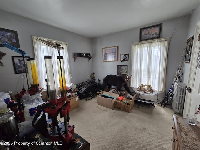 4 Little Ireland Rd, Starrucca, PA 18462 - living room featuring healthy amount of natural light and carpet flooring