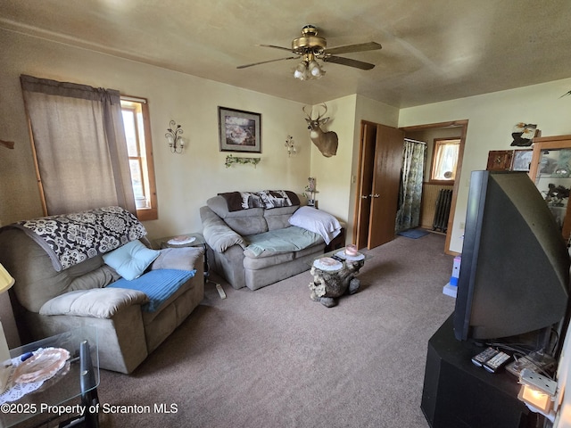 4 Little Ireland Rd, Starrucca, PA 18462 - living area featuring carpet floors and a ceiling fan