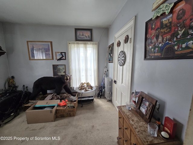 4 Little Ireland Rd, Starrucca, PA 18462 - carpeted living area featuring radiator
