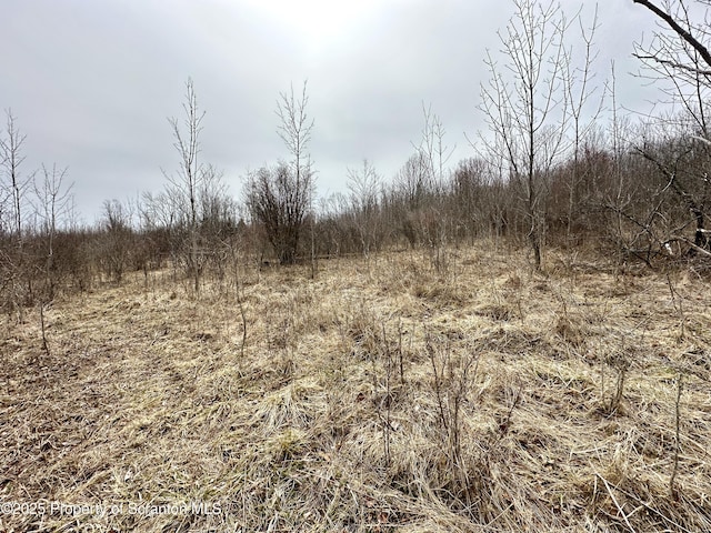 Murphy Hill Rd, Pleasant Mount, PA 18453 - photo 1