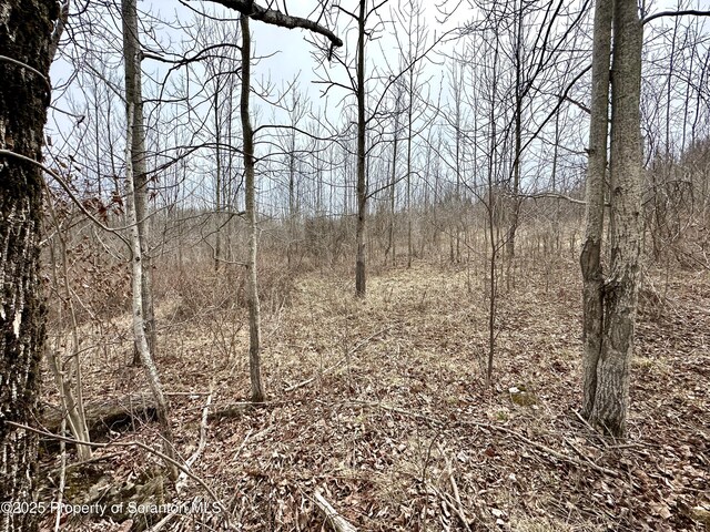 Murphy Hill Rd, Pleasant Mount, PA 18453 - photo 4