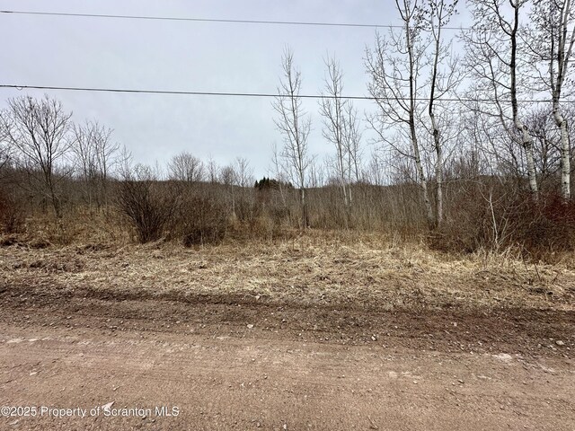 Murphy Hill Rd, Pleasant Mount, PA 18453 - photo 8