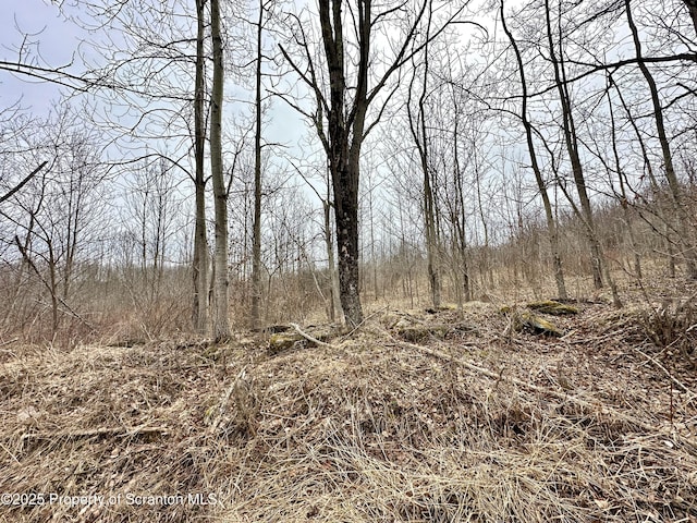 Murphy Hill Rd, Pleasant Mount, PA 18453 - photo 2
