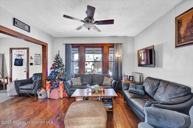 living room with dark hardwood / wood-style floors, radiator, and ceiling fan