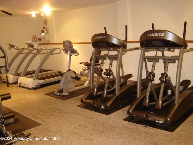 workout area with carpet flooring