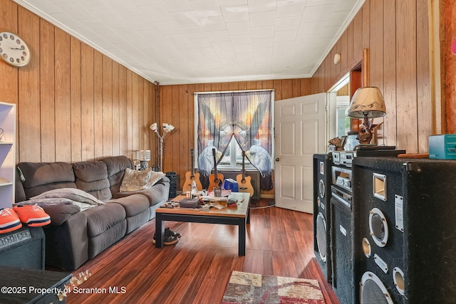 215 St Fr Cabrini Ave Unit Fr, Cabrini, Scranton, PA 18504 - living room with plenty of natural light, wooden walls, wood finished floors, and crown molding